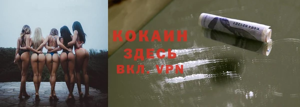 ГАЛЛЮЦИНОГЕННЫЕ ГРИБЫ Аркадак