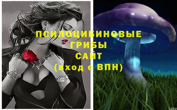 синтетический гашиш Армянск