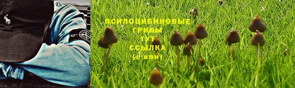 mdpv Арсеньев