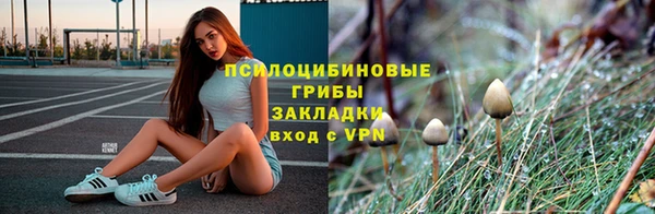 ГАЛЛЮЦИНОГЕННЫЕ ГРИБЫ Аркадак