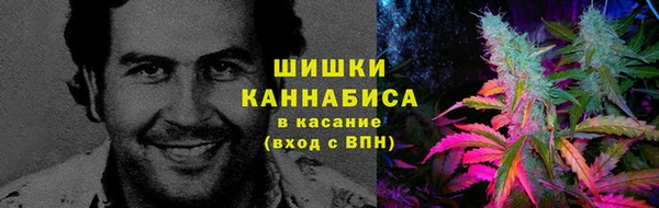 ГАЛЛЮЦИНОГЕННЫЕ ГРИБЫ Алексеевка
