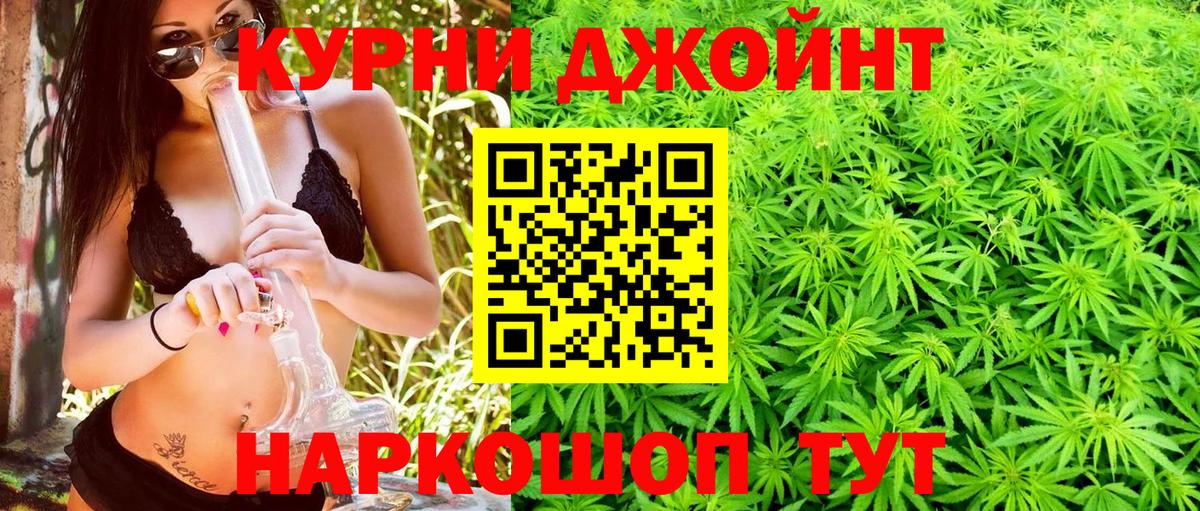 Конопля гибрид Майкоп
